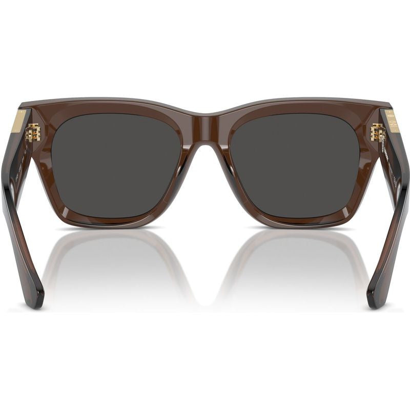 BE4424, Brown/Dark Grey Lenses