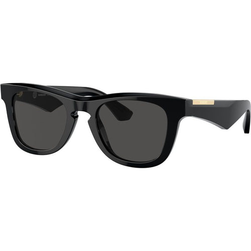 BE4426, Black/Dark Grey Lenses