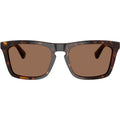 BE4434, Dark Havana/Dark Brown Lenses