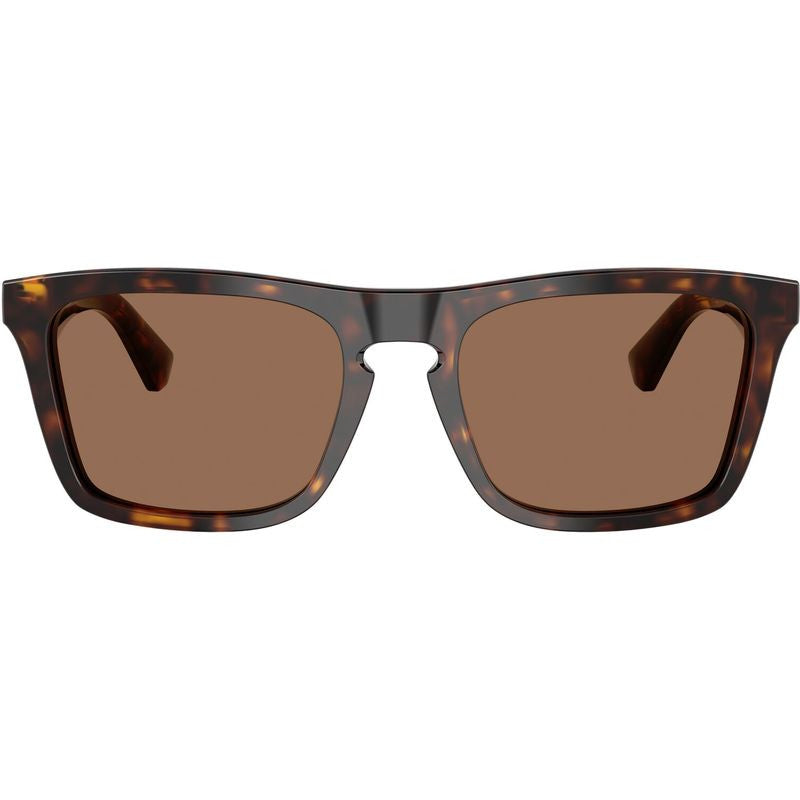 BE4434, Dark Havana/Dark Brown Lenses