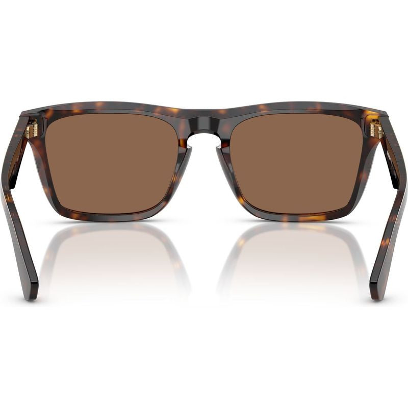 BE4434, Dark Havana/Dark Brown Lenses