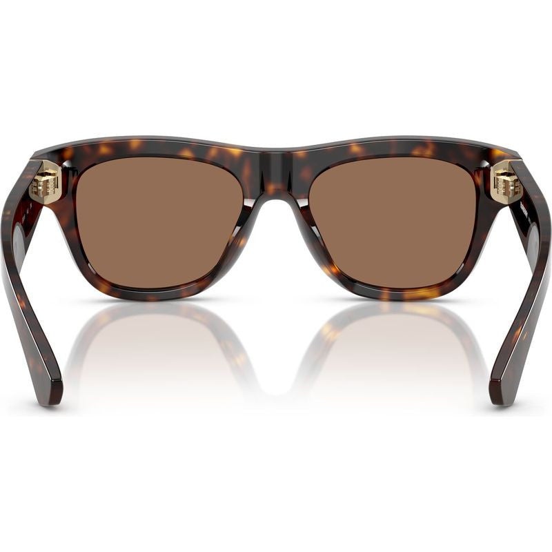 BE4438U, Dark Havana/Dark Brown Lenses
