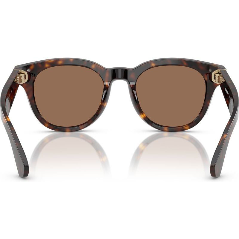BE4439, Dark Havana/Dark Brown Lenses