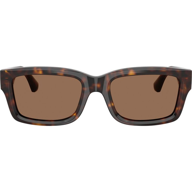 BE4443, Dark Havana/Dark Brown Lenses
