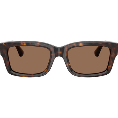 BE4443, Dark Havana/Dark Brown Lenses