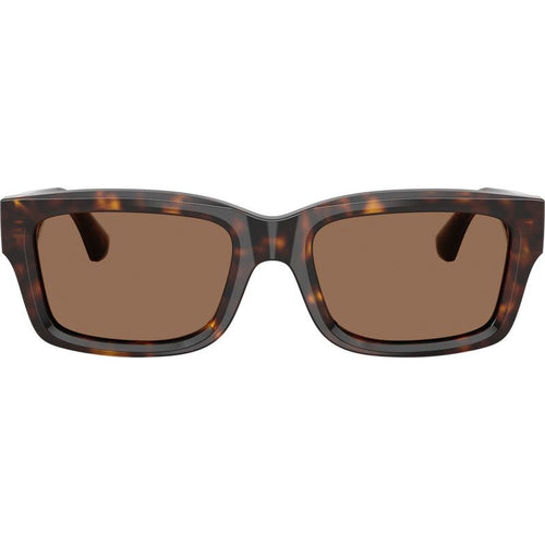 BE4443, Dark Havana/Dark Brown Lenses