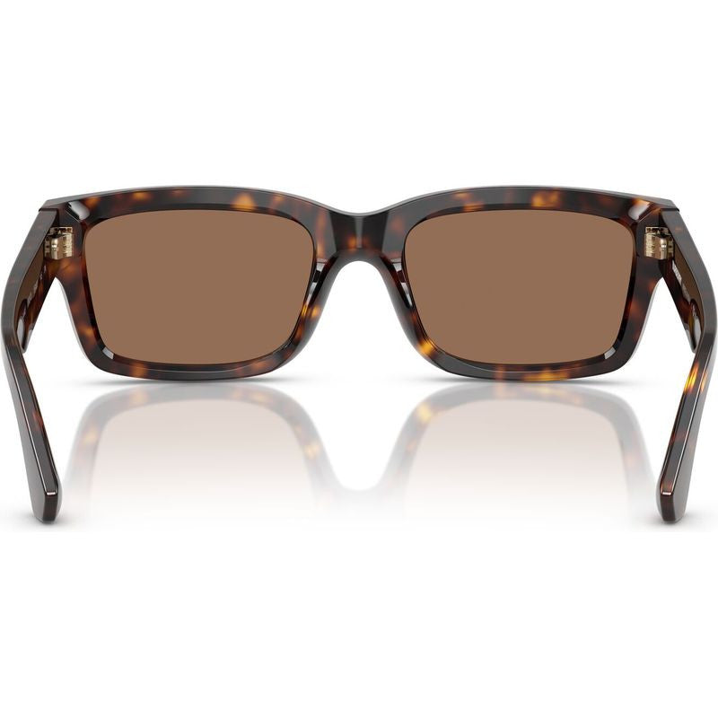 BE4443, Dark Havana/Dark Brown Lenses