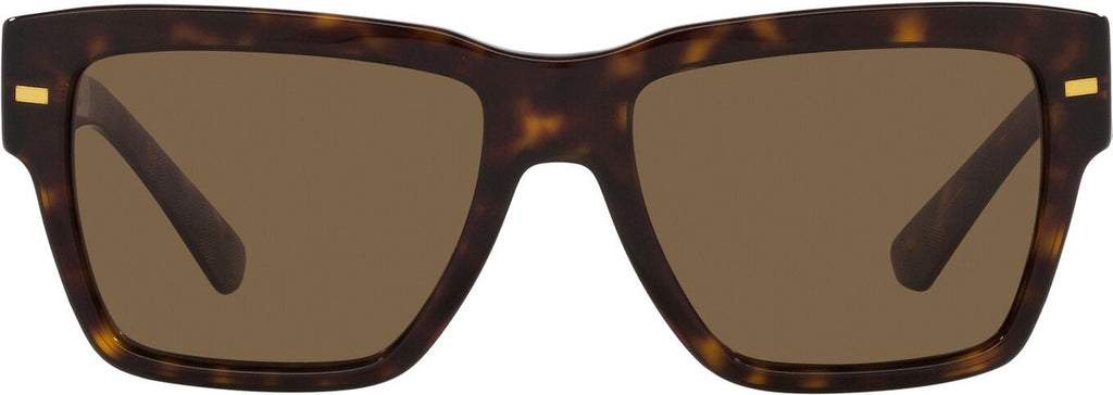 DG4431, Havana/Dark Brown Lenses