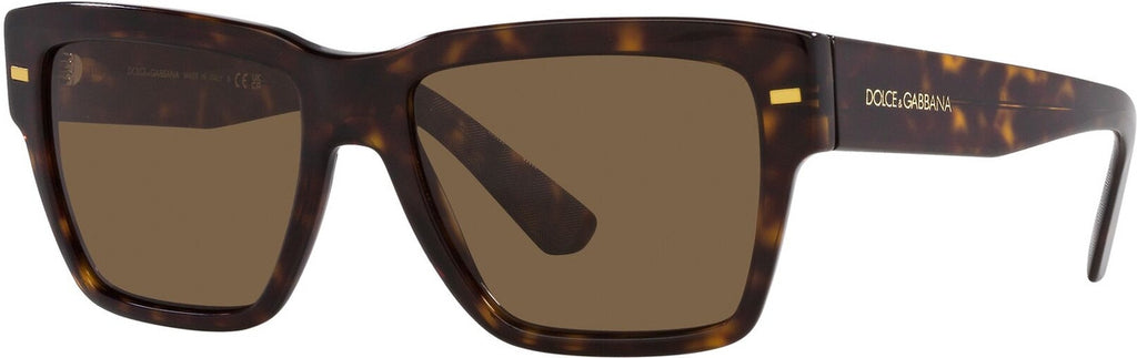DG4431, Havana/Dark Brown Lenses