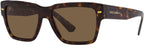 DG4431, Havana/Dark Brown Lenses