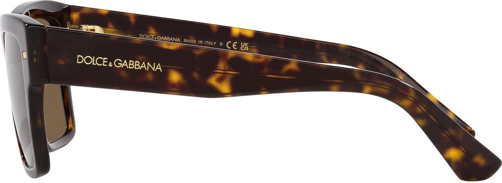DG4431, Havana/Dark Brown Lenses