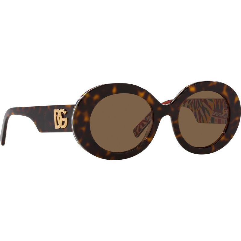 DG4448, Havana on White Barrow/Dark Brown Lenses