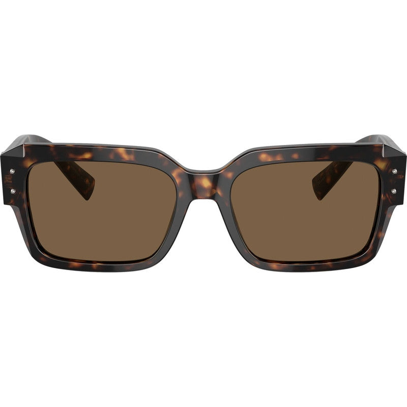 DG4460, Havana/Dark Brown Lenses