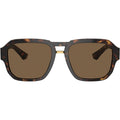 DG4464, Havana/Dark Brown Lenses