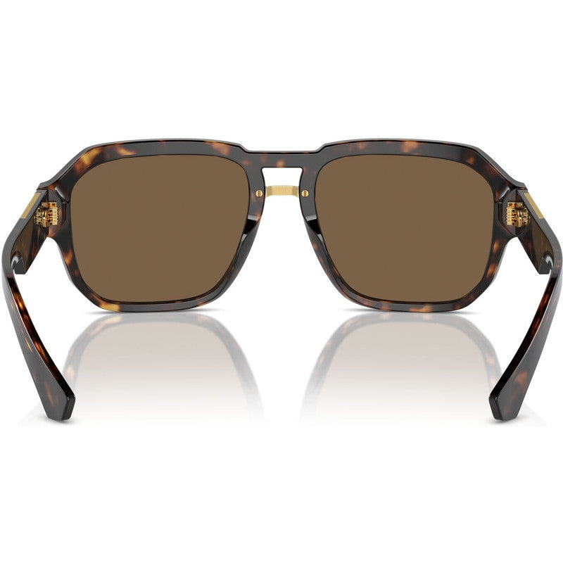 DG4464, Havana/Dark Brown Lenses