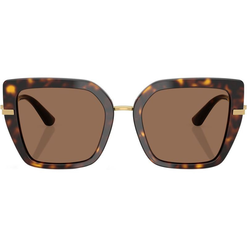 DG4474F, Havana/Dark Brown Lenses