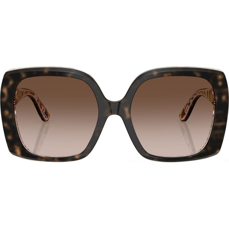 DG4475, Havana and White Barrow/Brown Gradient Lenses