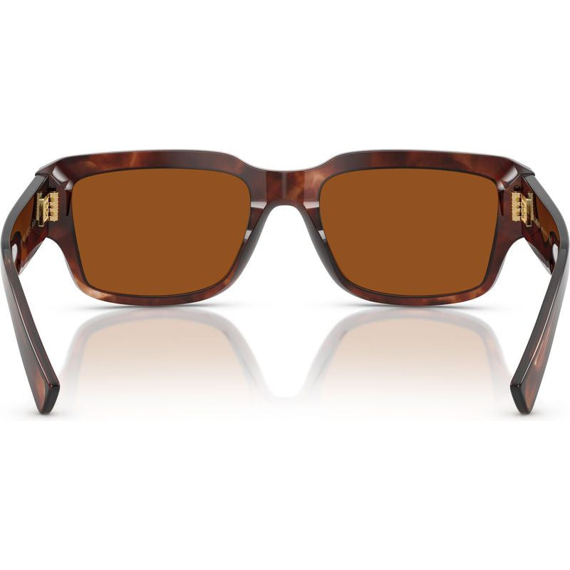 DG4483, Dark Red Havana/Dark Brown Lenses
