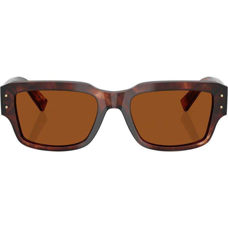 DG4483, Dark Red Havana/Dark Brown Lenses