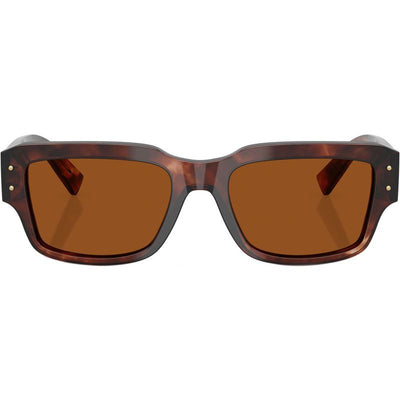 DG4483, Dark Red Havana/Dark Brown Lenses
