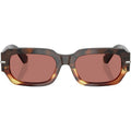 DG4485, Havana Warm Brown/Bordeaux Lenses