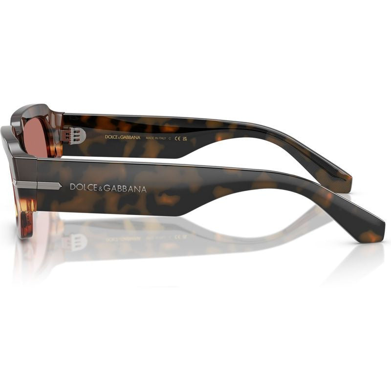 DG4485, Havana Warm Brown/Bordeaux Lenses