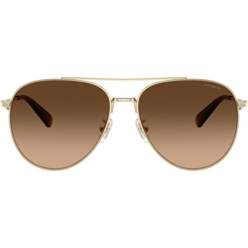 HC7169, Shiny Light Gold/Brown Gradient Lenses