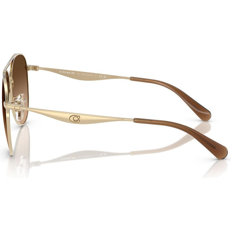 HC7169, Shiny Light Gold/Brown Gradient Lenses
