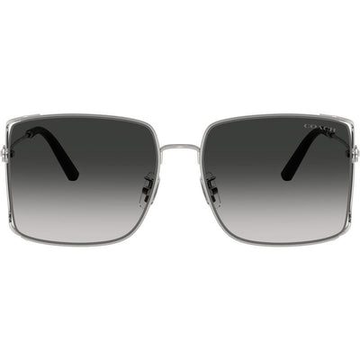 HC7174D, Shiny Silver/Grey Gradient Lenses