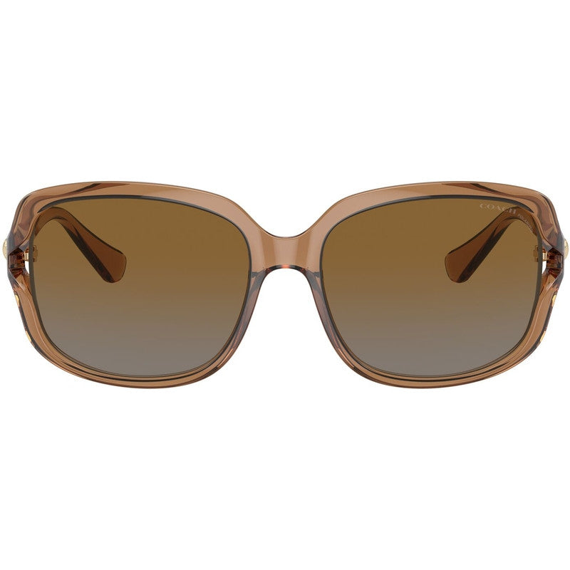 HC8169, Transparent Brown/Brown Grey Gradient Polarised Lenses