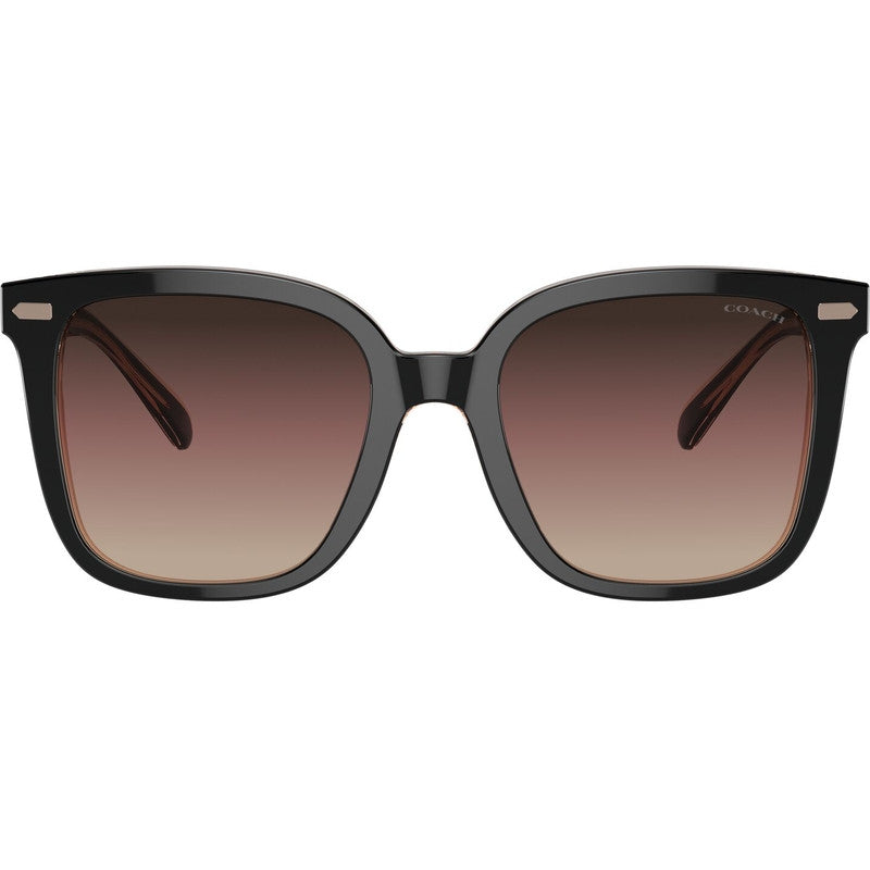 HC8381U, Black/Light Brown and Violet Gradient Lenses
