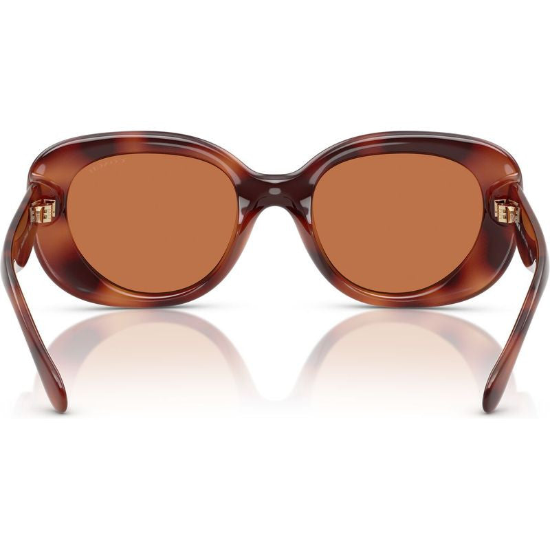 HC8391U, Caramel Tortoise/Brown Lenses