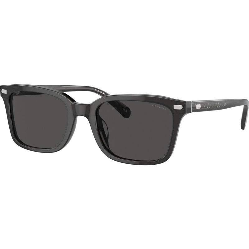 HC8398U, Transparent Dark Grey/Grey Lenses