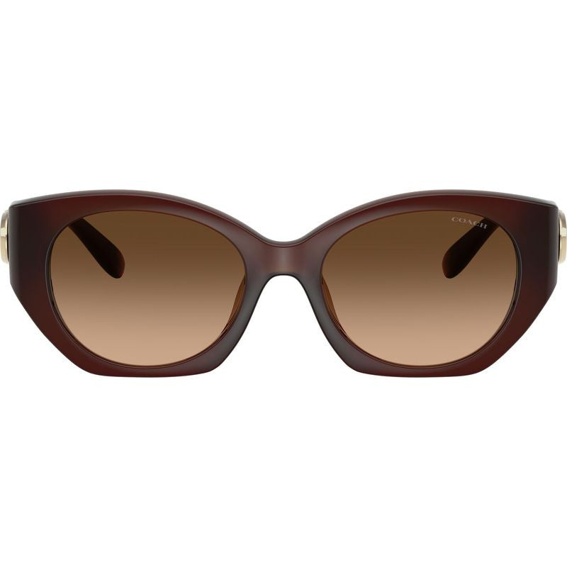 HC8407U, Milky Hazelnut/Brown Gradient Lenses