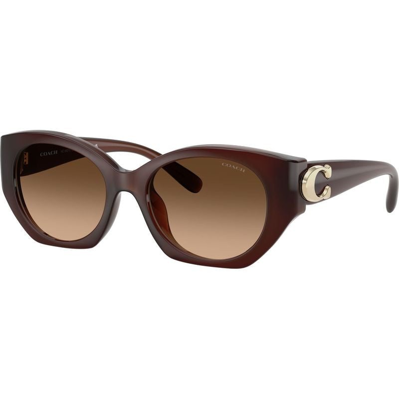 HC8407U, Milky Hazelnut/Brown Gradient Lenses