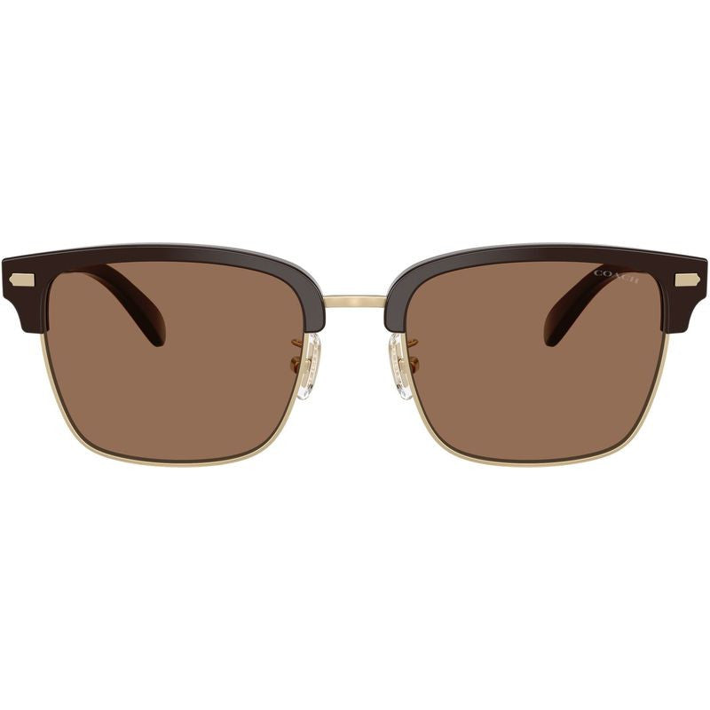 HC8412, Light Gold and Brown/Brown Lenses