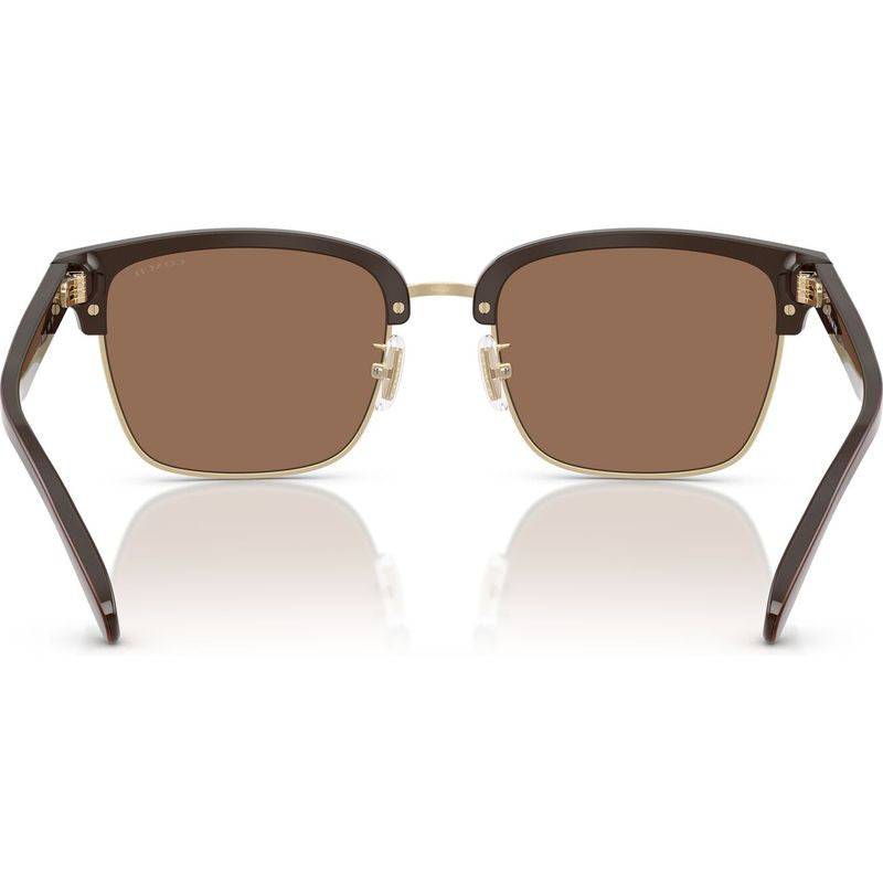 HC8412, Light Gold and Brown/Brown Lenses
