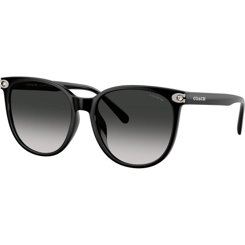 HC8414BD, Black/Grey Gradient Lenses