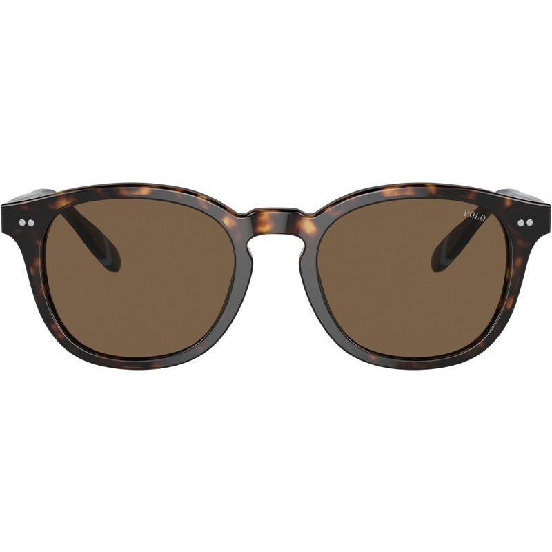 PH4206, Shiny Dark Havana/Brown Lenses