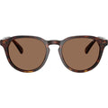 PH4221, Shiny Brown Tortoise/Dark Brown Lenses