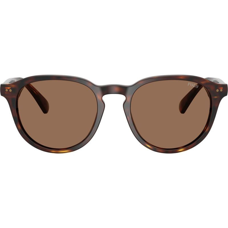PH4221, Shiny Brown Tortoise/Dark Brown Lenses