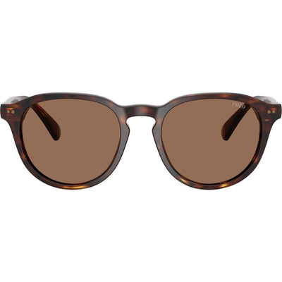 PH4221, Shiny Brown Tortoise/Dark Brown Lenses