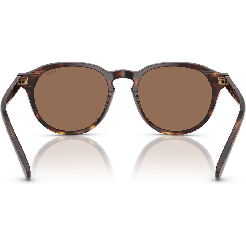PH4221, Shiny Brown Tortoise/Dark Brown Lenses