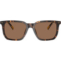 PH4224U, Shiny Dark Havana/Dark Brown Lenses