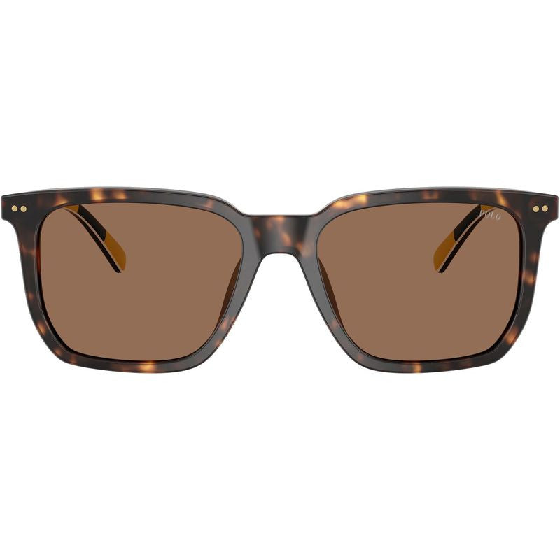 PH4224U, Shiny Dark Havana/Dark Brown Lenses