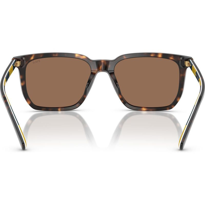 PH4224U, Shiny Dark Havana/Dark Brown Lenses