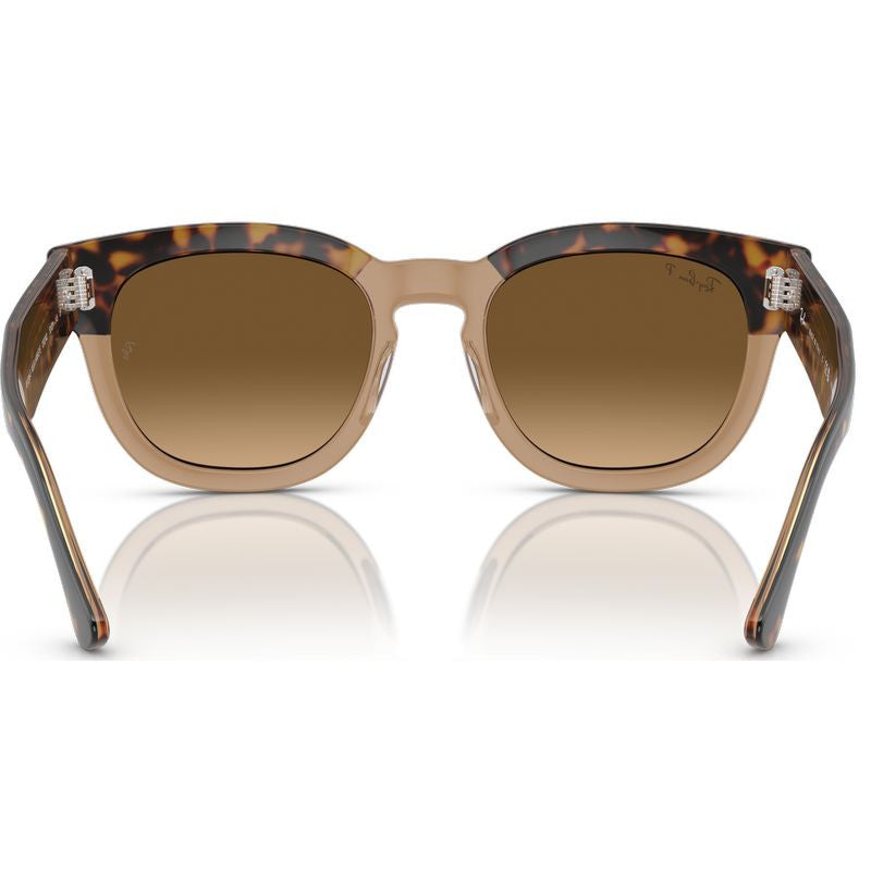 Mega Hawkeye RB0298S, Havana on Transparent Brown/Brown Gradient Polarised Glass Lenses