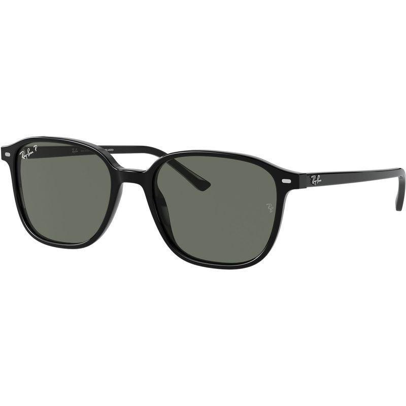 Leonard RB2193, Black/Green Polarised Glass Lenses 53 Eye Size