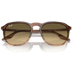 RB2203, Striped Brown and Green/Vintage Brown Glass Lenses 52 Eye Size