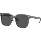 RB2206D, Transparent Grey/Dark Grey Lenses